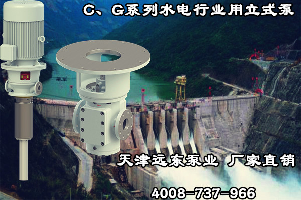 C、G系列水電行業(yè)用立式泵